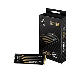 MSI SPATIUM M482 2 To