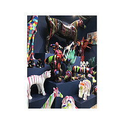 Amadeus Singe de la Sagesse Splash