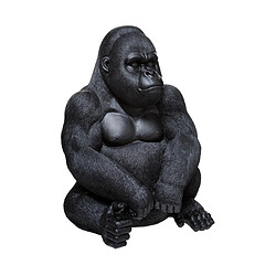 Atmosphera Gorille Assis