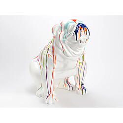 Bulldog USA Assis 85 cm Amadeus