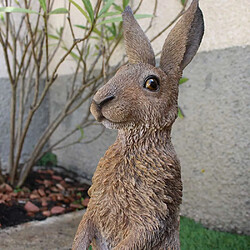 Acheter Vivid Arts Vivid_arts Statue lièvre résine - Marron