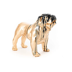 AMADEUS Bulldog Doré Trash Noir M