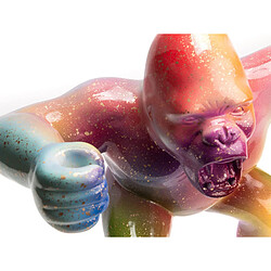 AMADEUS Gorille Rainbow