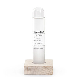 Kikkerland Baromètre Tempête