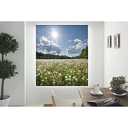 Blindecor Store Enrouleur - 130 x 180 cm Translucido
