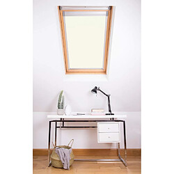 Skylight Store M4 A pour toit Dakstra - Blanc