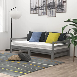 Avis vidaXL Lit coulissant Gris 2x(90x200) cm bois de pin
