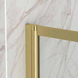 Aurlane Goldy Contouring Screen