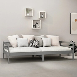 Avis VIDAXL Lit de jour - Gris