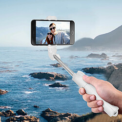 Avis Avizar Perche Selfie Bluetooth 68 cm Blanc