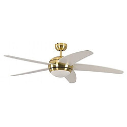 Pepeo Ventilateur de Plafond Melton