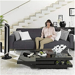 Rowenta Ventilateur Colonne Gris Noir