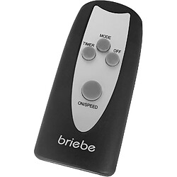 Acheter Briebe Ventilateur sur pied - Noir