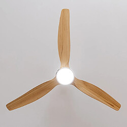 Avis Cecotec Aero 5300 White&Wood Design