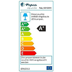 Pepeo Raja Ventilateur plafond LED