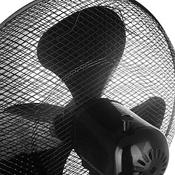 Avis Briebe Ventilateur sur pied - Noir