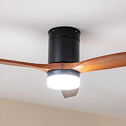 Acheter Cecotec EnergySilence Aero 5285 - Marron