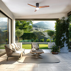 Cecotec Aero 5600 Black Aqua