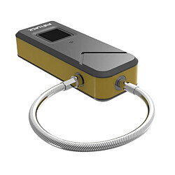 Acheter Zhisheng Electronics Zhisheng Cadenas numérique