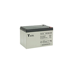 Yuasa Y12-12