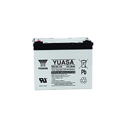 Yuasa REC36-12 - Batterie Plomb Étanche - 12V 36Ah