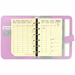 Quo Vadis Timer 14 Prestige pas cher