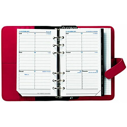 Quo Vadis Recharge Timer 17