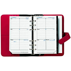 Quo Vadis Recharge Timer 17