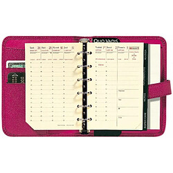 Avis Quo Vadis Timer 14 Prestige