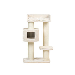 RHR Quality Devon Rex Cream