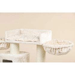 RHR Quality Devon Rex PLUS
