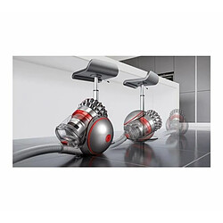 Dyson Big Ball Pro 2 Animal