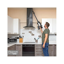 Acheter Numatic Henry Quick - Gris