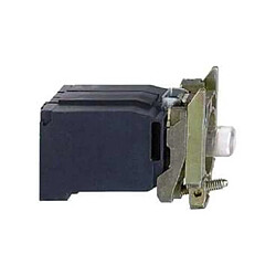 Schneider electric ZB4BV8