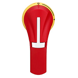 Schneider electric GS2AH240 - Rouge Poignée extérieure pour appareillage modulaire - IP55 - montage apparent - connexion à vis - 2 pôles - latérale droite
