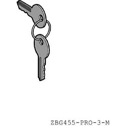 Schneider electric ZBG455P