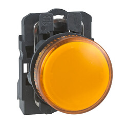 Schneider electric XB5AV65 - Orange