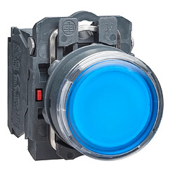 Schneider electric XB5AW36M5 - Bleu