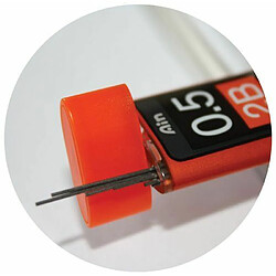 Avis Carlotta Pentel C277-B