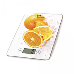 Little Balance 8090 Électronique