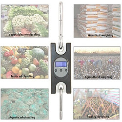 Acheter Balance électronique de bagages
