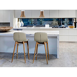 Avis Angel Cerda 4044