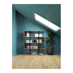 But Boîte de rangement CBOX - Transparent