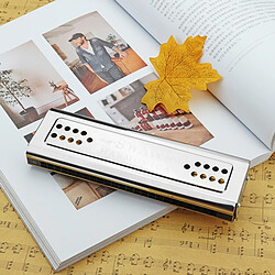 Wewoo Swan SW24-12A Harmonica