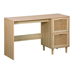Bureau Pegane