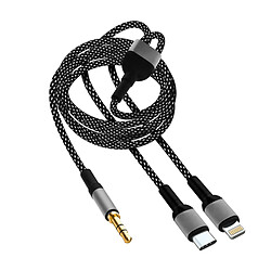 LinQ Adaptateur USB-C + Lightning vers Jack 3.5mm