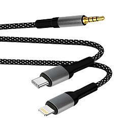 LinQ Adaptateur USB-C + Lightning vers Jack 3.5mm