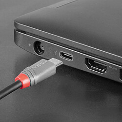 Lindy 36891 USB 1 m - Noir, Gris pas cher