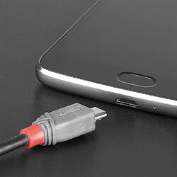 Acheter Lindy 36891 USB 1 m - Noir, Gris