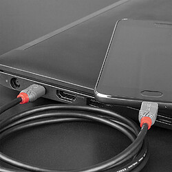 Avis Lindy 36891 USB 1 m - Noir, Gris